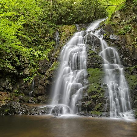 Mountain Eden, Hot Tub, Resort Pool, Wifi, 1089 Free Tickets Each Paid Day, Dollywood And More Gatlinburg Dış mekan fotoğraf