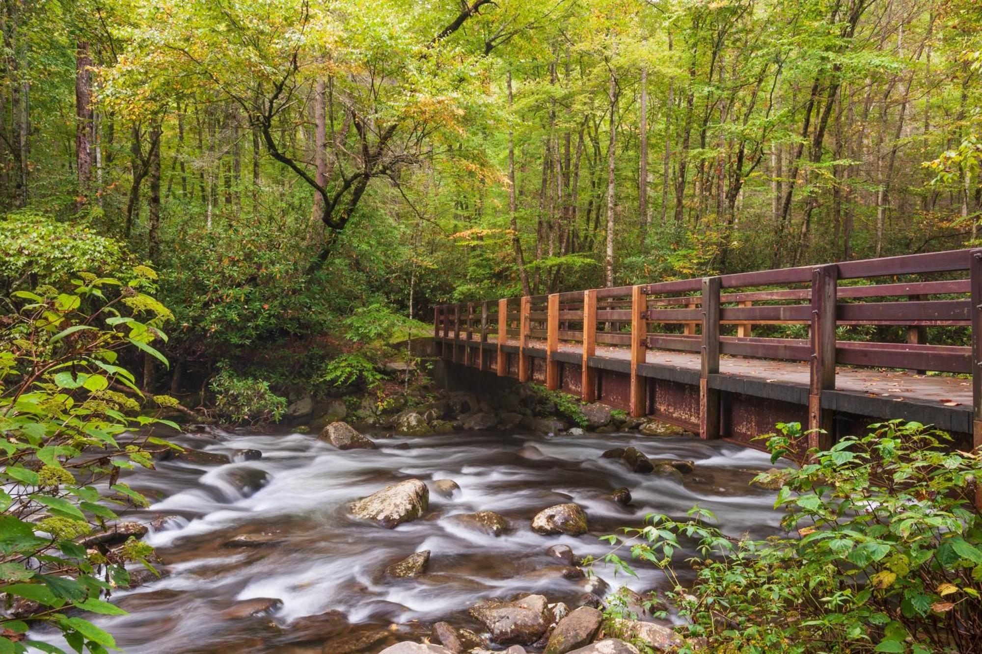 Mountain Eden, Hot Tub, Resort Pool, Wifi, 1089 Free Tickets Each Paid Day, Dollywood And More Gatlinburg Dış mekan fotoğraf