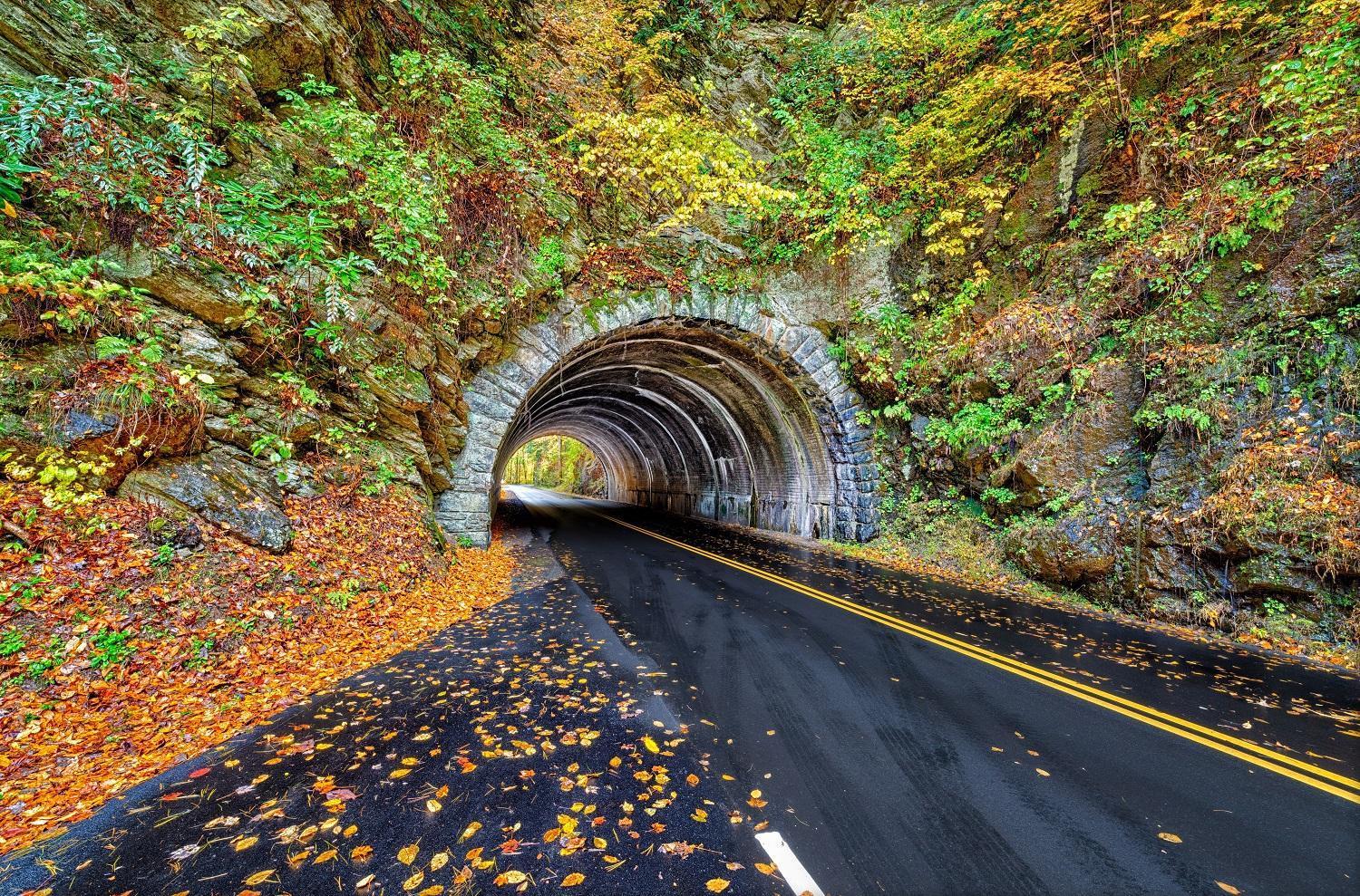 Mountain Eden, Hot Tub, Resort Pool, Wifi, 1089 Free Tickets Each Paid Day, Dollywood And More Gatlinburg Dış mekan fotoğraf